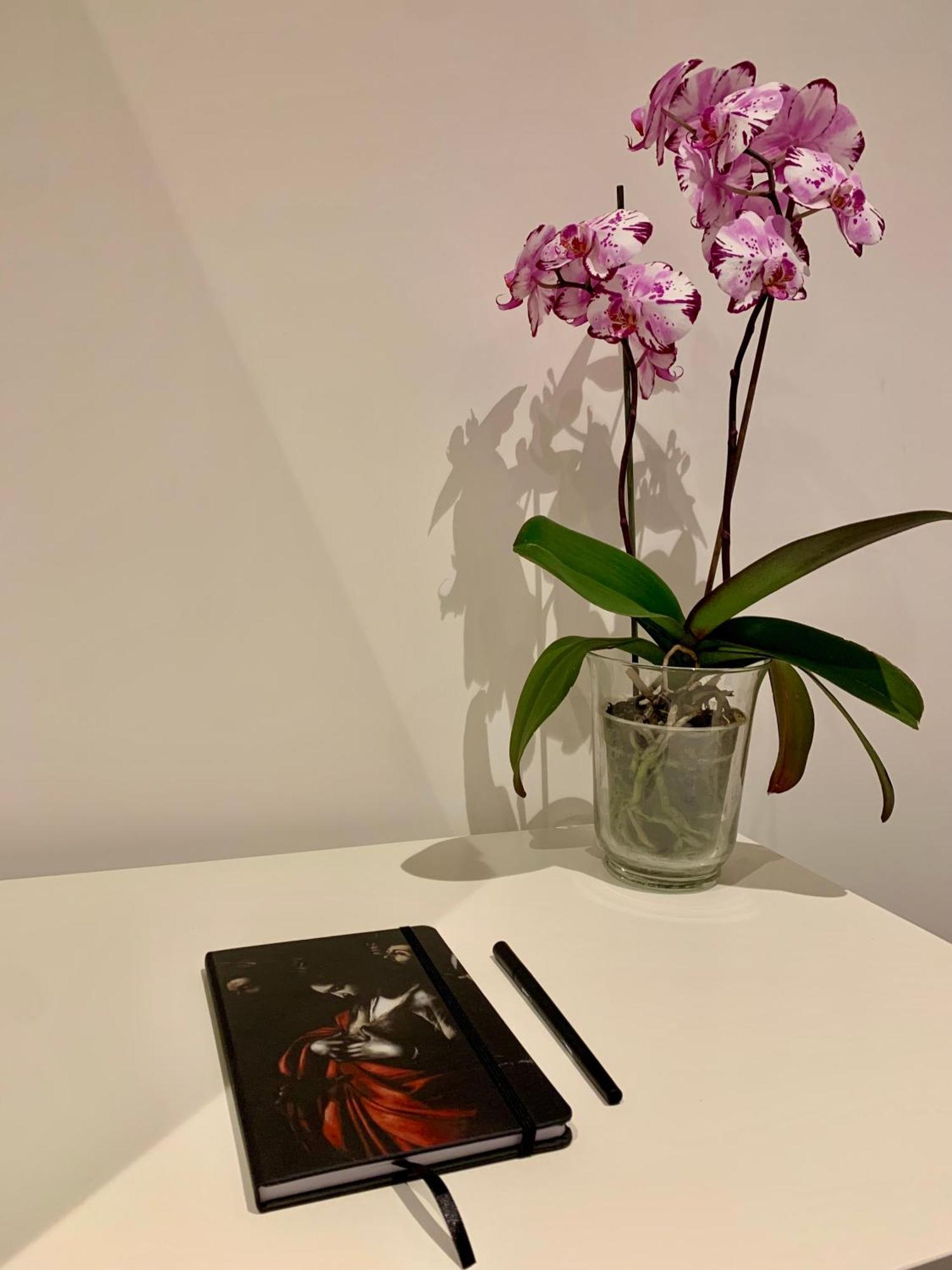 Residenza D'Artista Al Conservatorio Σαλέρνο Εξωτερικό φωτογραφία