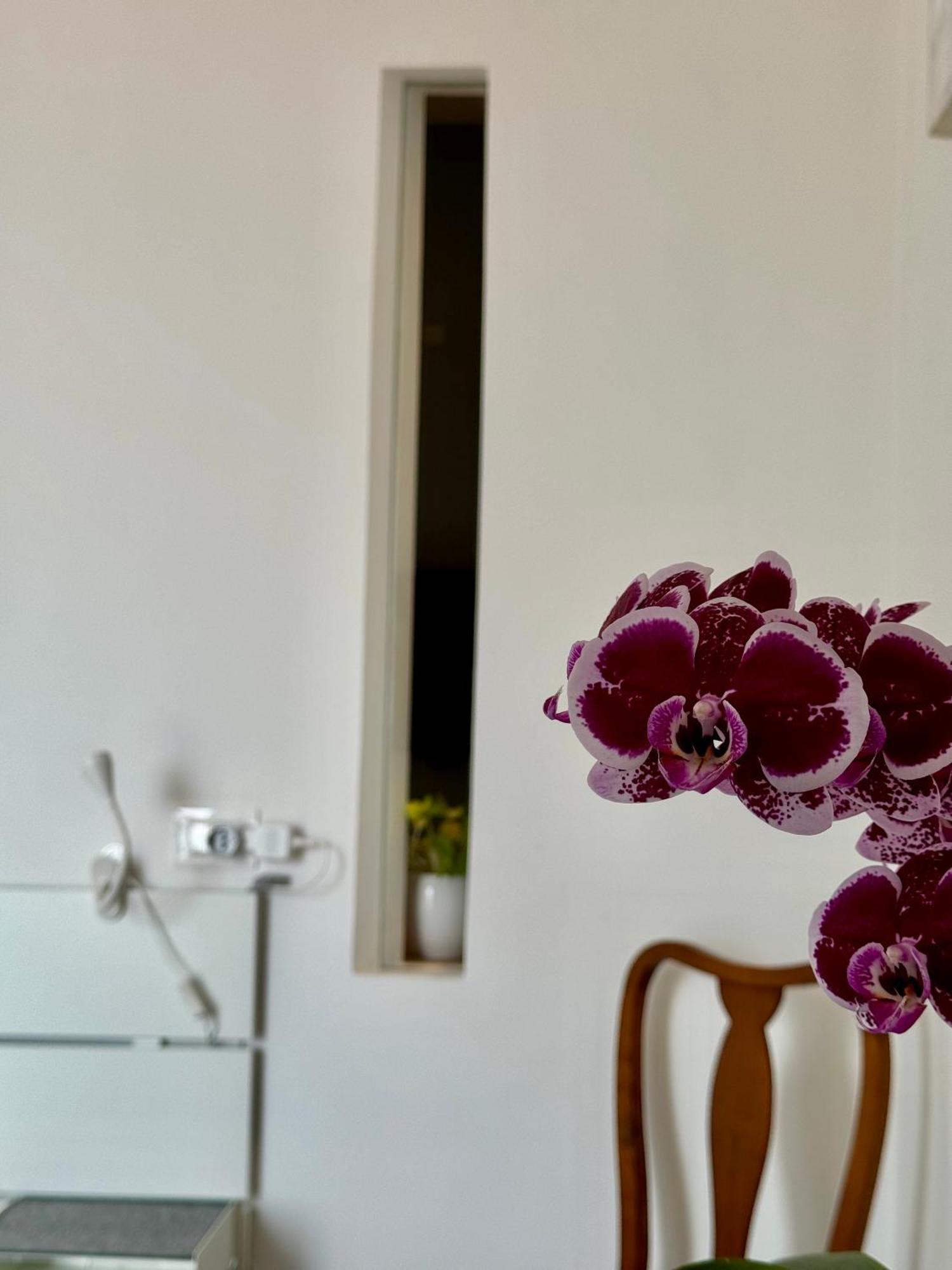 Residenza D'Artista Al Conservatorio Σαλέρνο Εξωτερικό φωτογραφία